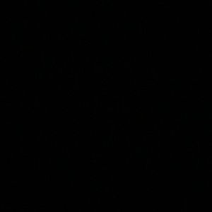 Meet your Posher, Nae